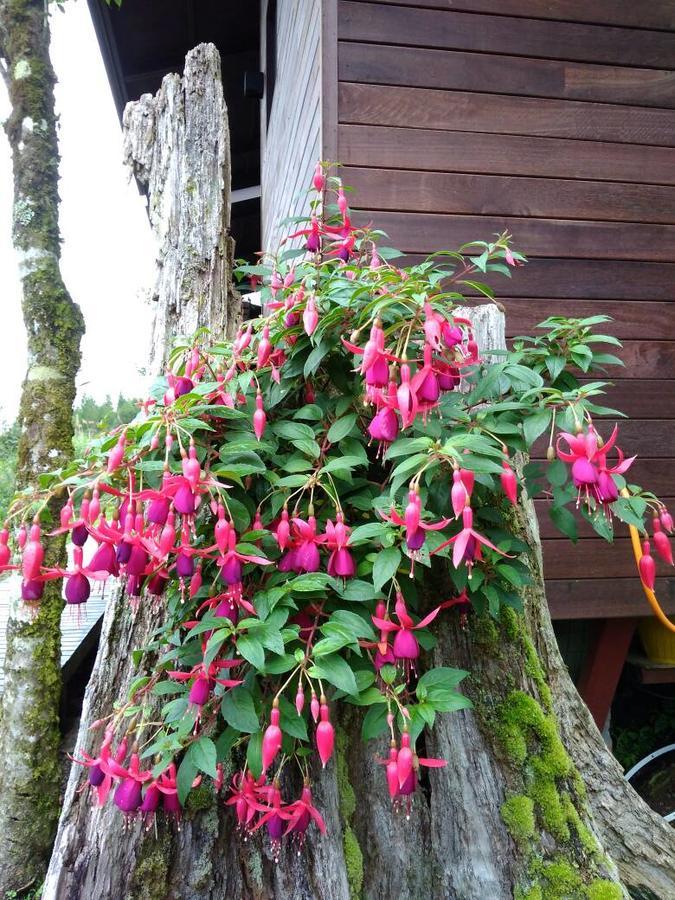 Отель Spring Garden Kundasang Экстерьер фото