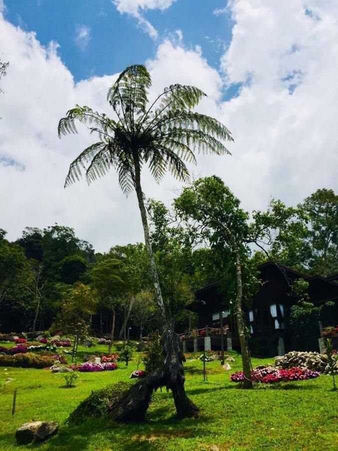 Отель Spring Garden Kundasang Экстерьер фото
